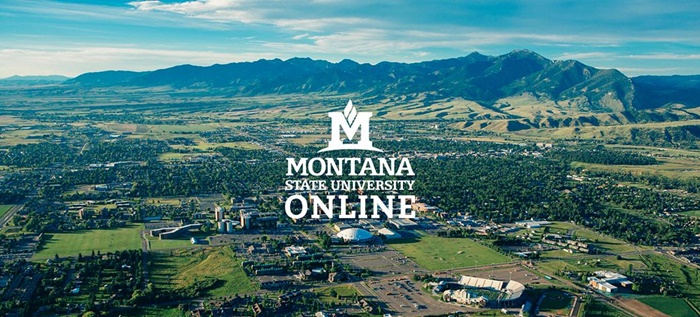 Montana State University Us | How to Apply